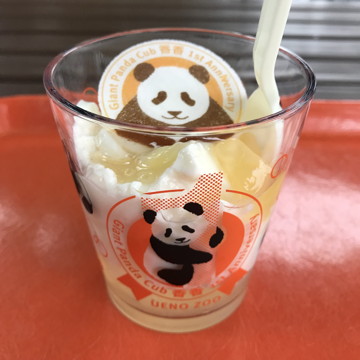 panda glass