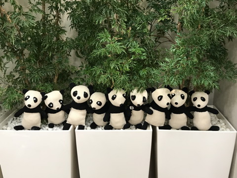 軍手panda